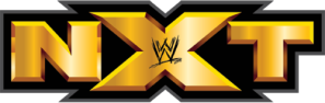 20140301013507!NXT_Wrestling